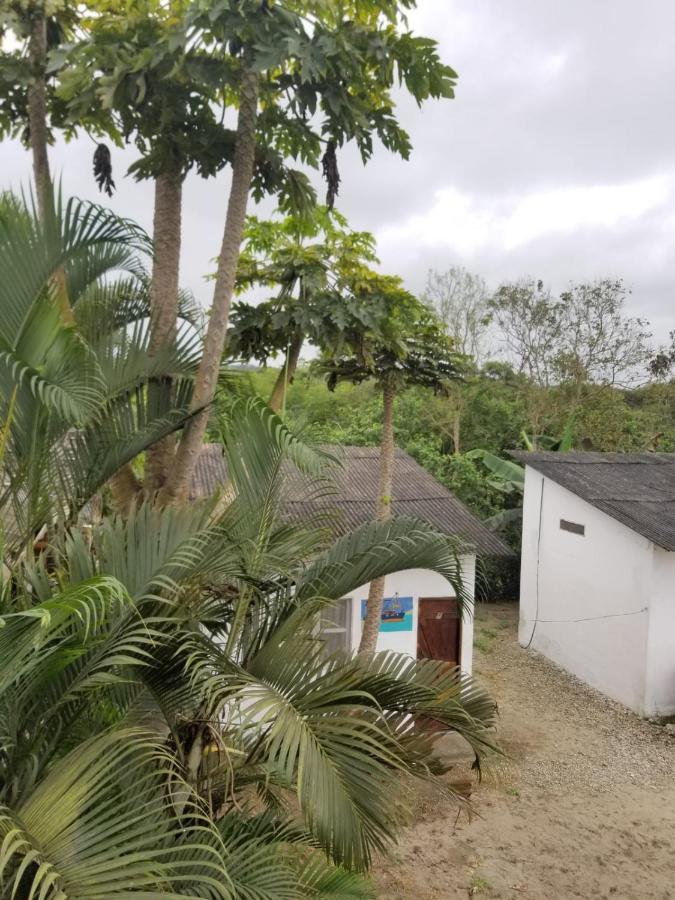 Montanita Garden Hostal المظهر الخارجي الصورة